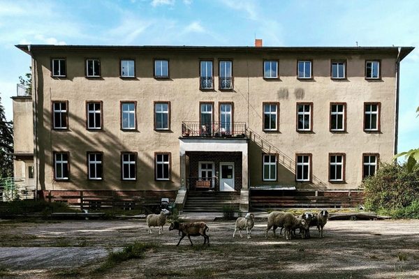 lila_bunt Seminarhaus